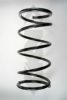 SPIDAN 85289 Coil Spring